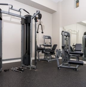 a gym with a lot of exercise equipment
