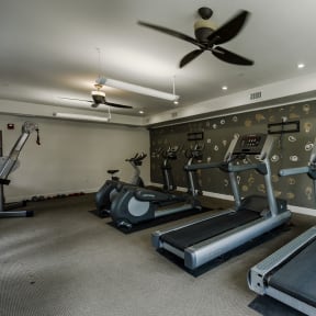 Fully Equipped Gym with Treadmills and Cycles