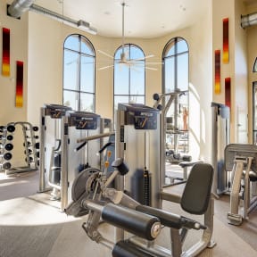 a gym with cardio equipment and windows at the resort at longboat key club