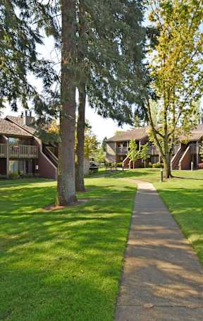 A tree-lined walkway leads to a building.