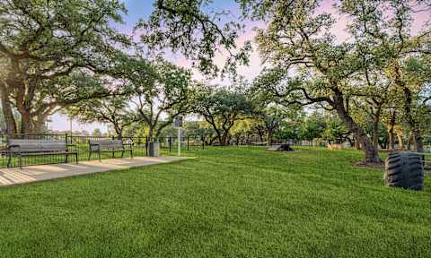 A park with a bench and trees.