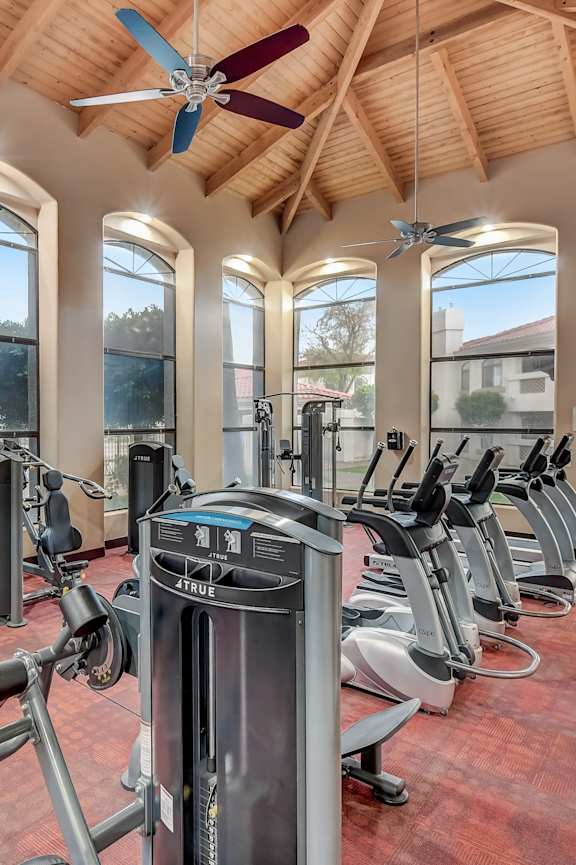 A gym with a variety of equipment including treadmills, weights, and a rowing machine.