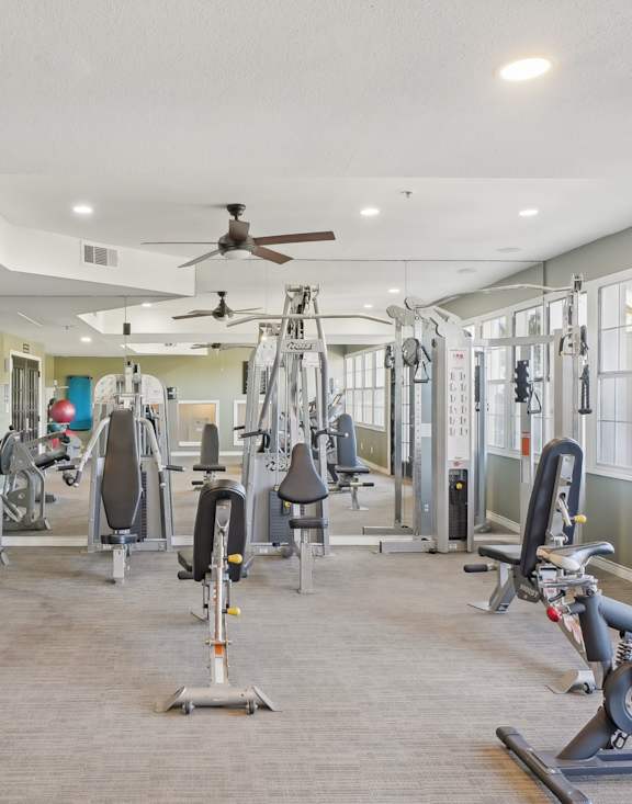 A spacious gym with treadmills, exercise bikes, and a rack of dumbbells.