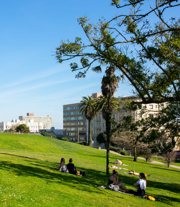 people sitting on a grassy hill in san francisco