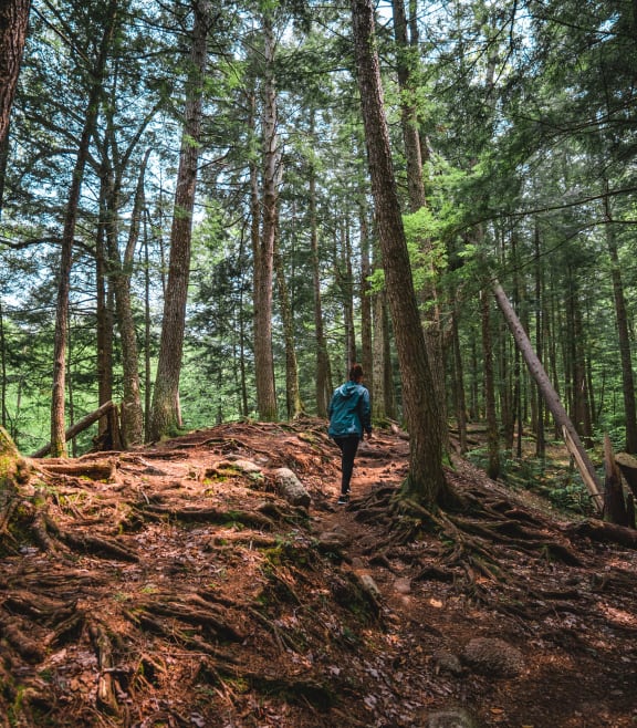 a woman walking in the woods at Bigelow Commons, Enfield, 06082