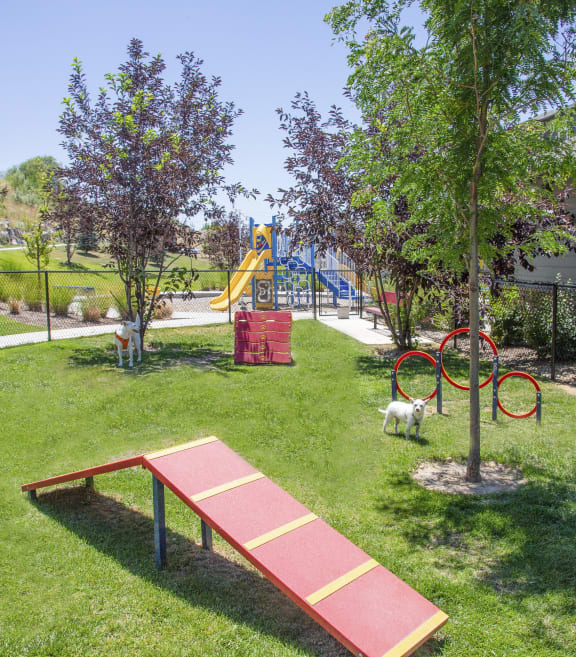 a dog park with a seesaw and agility course