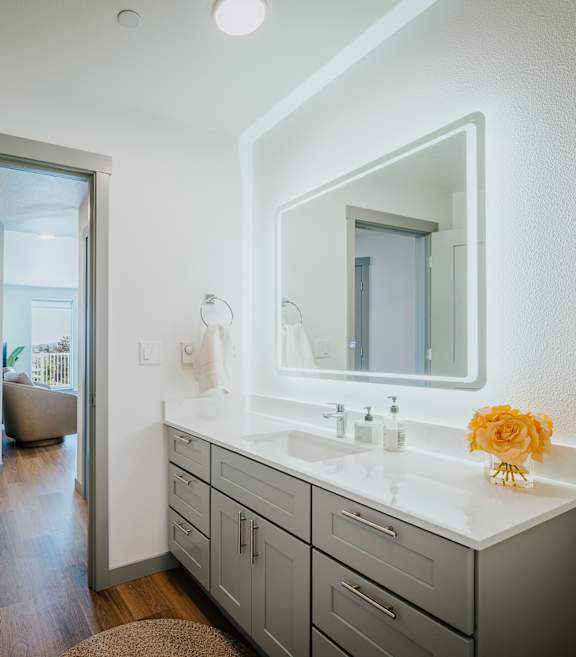 A bathroom with a white counter and a mirror above it.