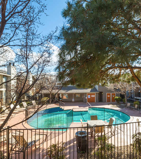 A pool surrounded by a fence with a tree in the foreground.