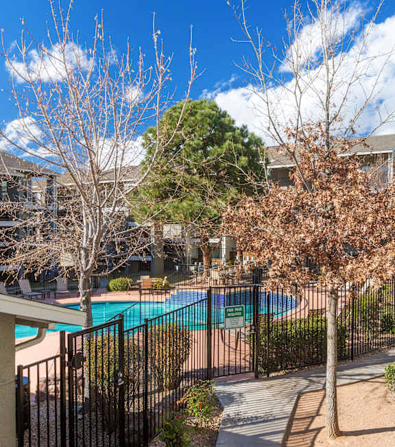 A pool surrounded by a fence and trees.