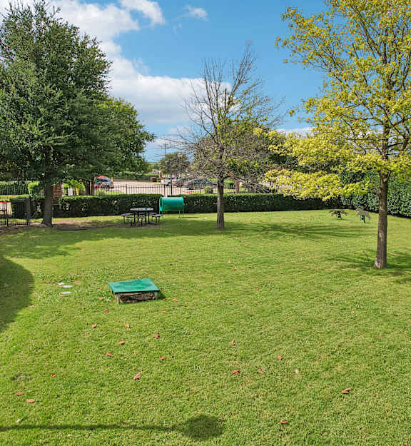 A green lawn with a yellow tree and a blue bench.