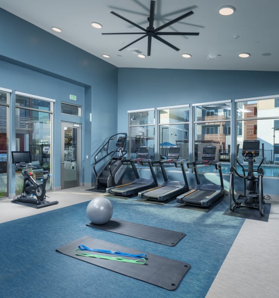 a gym with treadmills and other exercise equipment