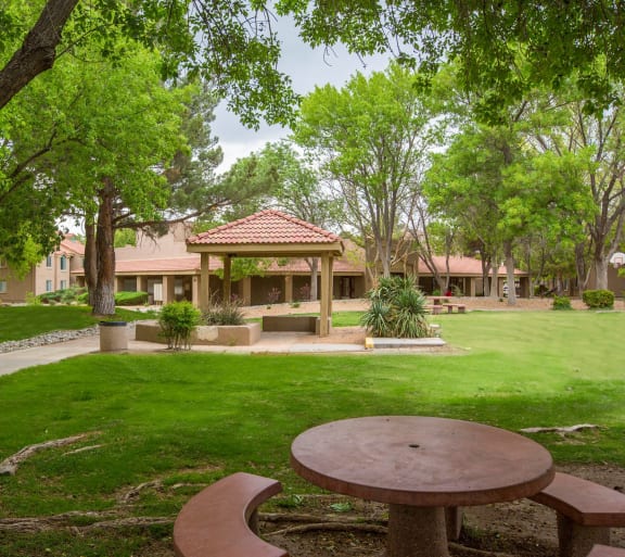 a yard with green grass and trees with apartments in the background