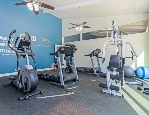 Fitness Center With Modern Equipment at Falls on Clearwood Apartments, Texas, 75081