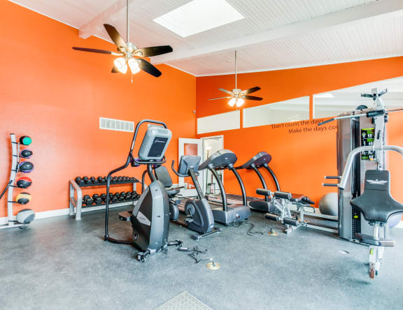 Fitness Center With Modern Equipment at Falls on Clearwood Apartments, Texas, 75081