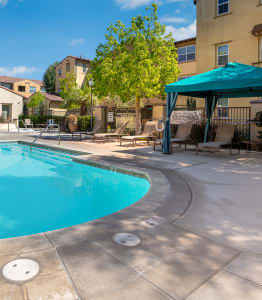 our apartments offer a clubhouse