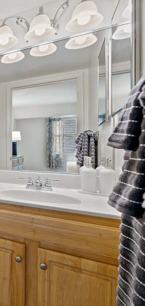Bathroom at Woodsdale Apartments, Abingdon, 21009