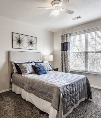 Riverchase Apartments - Large Primary Bedroom with Plush Carpet, Lots of Natural Light and a Ceiling Fan