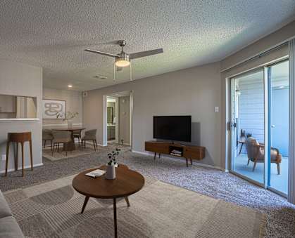 A living room with a grey couch, a wooden coffee table, and a television.