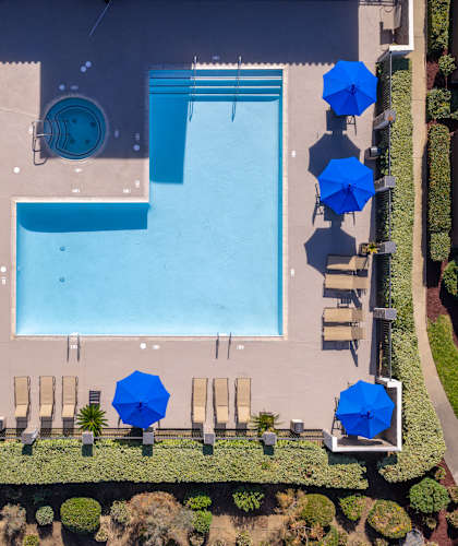 An aerial view of a pool surrounded by trees and umbrellas.