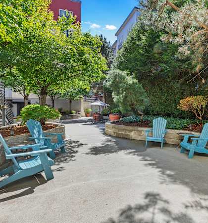 a patio with blue chairs and trees in a courtyard at Promenade at the Park Apartment Homes in Seattle, WA