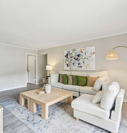 A living room with a white couch, a wooden coffee table, and a blue rug.