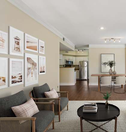 A living room with a grey couch, a black coffee table, and a white sofa.