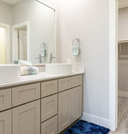 Bathroom with Large Closet, Wood-Style Flooring, and Large Mirror at Mihir Taylor, Taylor, TX 76574