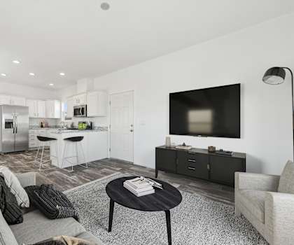 A modern living room with a grey couch, a black coffee table, and a black and white rug.