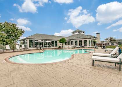 Sparkling Pool with Sundeck. at The Atlantic Stone Oak, San Antonio, TX