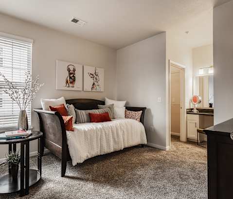 Riverchase Aparments - Large Second Bedroom with Walk In Closet, Built In Vanity and Plush Carpet