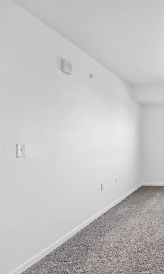A room with a carpeted floor and a window showing a green landscape.