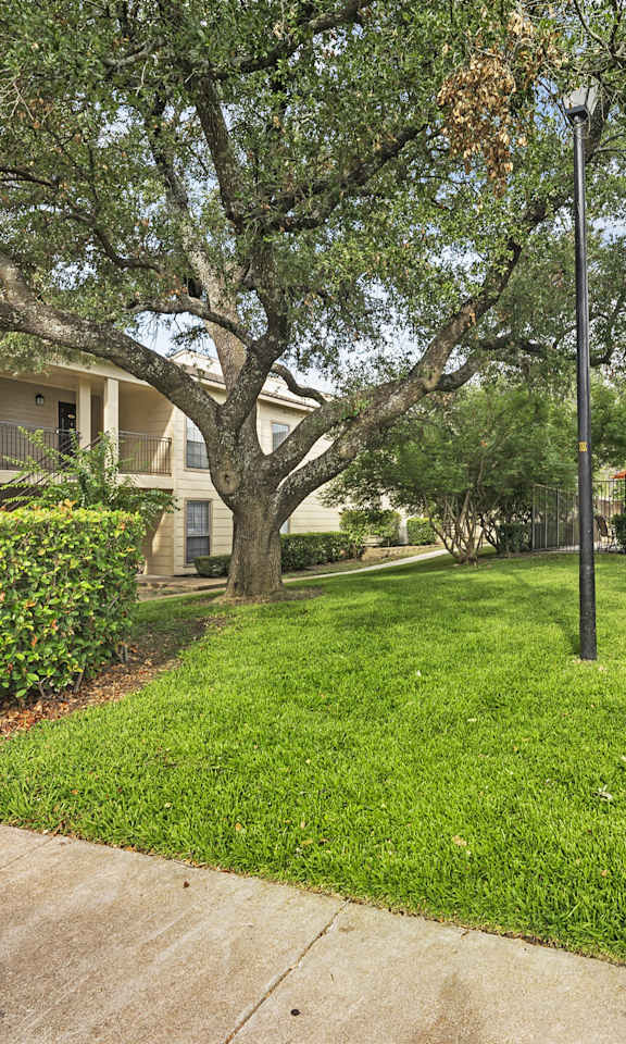 a yard with grass and trees in front of a building  at Parks on the Green, Texas, 76504