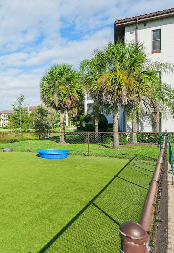 A backyard with a green lawn and a blue pool.