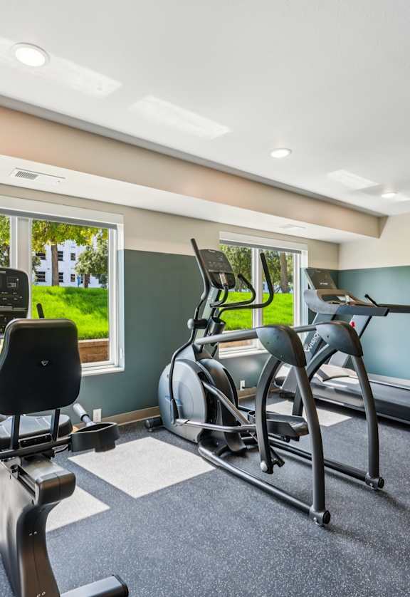 A home gym with a treadmill and a stationary bike.