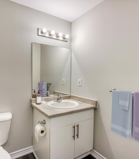 a bathroom with a toilet sink and mirror