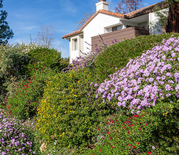 A white house with a brown roof is surrounded by a variety of colorful flowers.