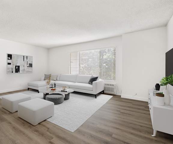 a living room with a white rug and couches