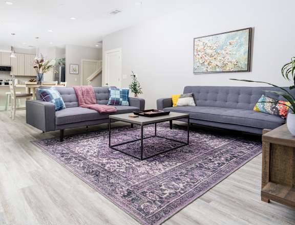 Living Room with Wood-Style Flooring, Purple Rug, and Two Sofas at Mihir Taylor, Texas