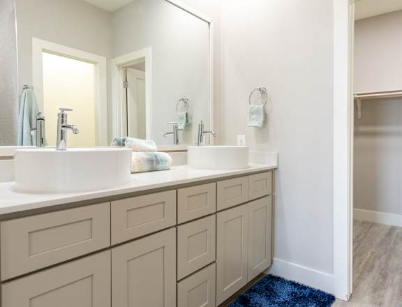 Bathroom with Large Closet, Wood-Style Flooring, and Large Mirror at Mihir Taylor, Taylor, TX 76574