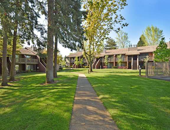 A tree-lined walkway leads to a building.