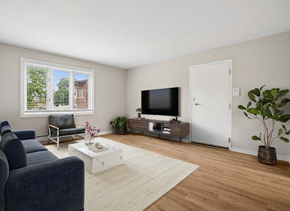 A living room with a blue couch and a television.
