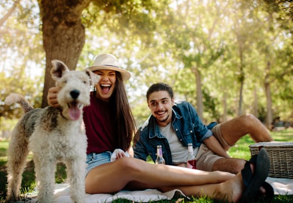 A man and woman are sitting on a blanket with a dog in a park.