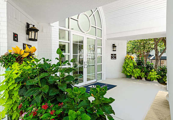 A white building with a glass door and a green plant in front.