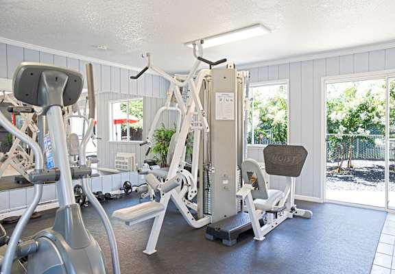 A gym with a variety of equipment including a treadmill, a stationary bike, and a rowing machine.