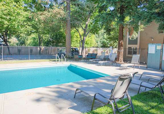 A pool surrounded by trees and chairs.