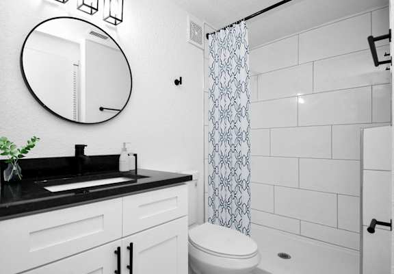 a bathroom with a sink and a mirror and a toilet