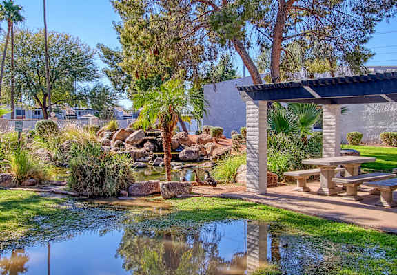 a park with a pond and picnic table