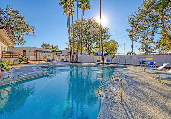 A sunny day at the pool with lounge chairs and palm trees.