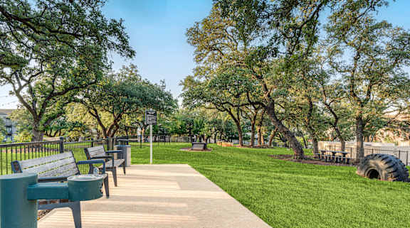 A park with a bench and a tree.