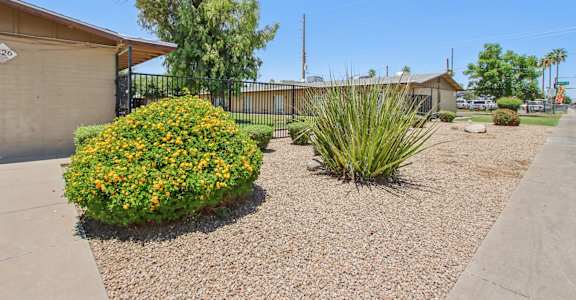 A small garden with a bush and a plant in front of a house.